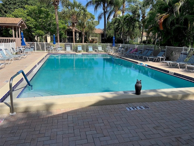 view of pool featuring a patio