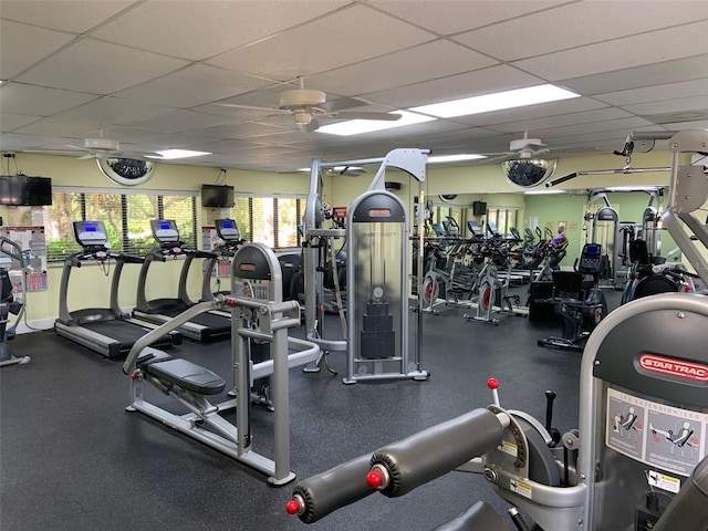 exercise room featuring a paneled ceiling and ceiling fan