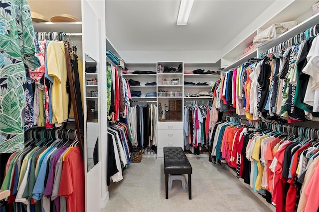 view of walk in closet