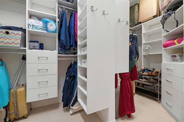 spacious closet featuring light carpet