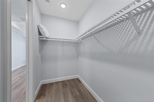 spacious closet featuring wood-type flooring