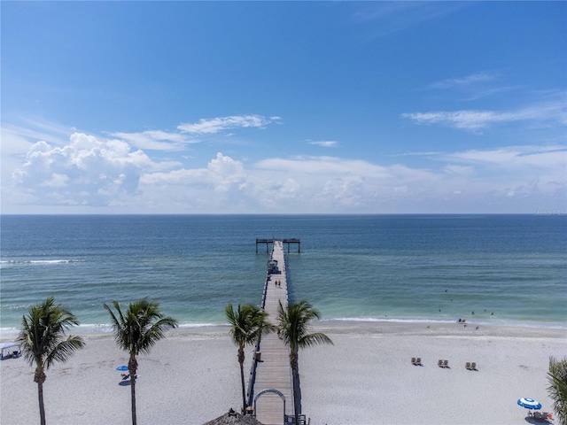 view of water feature featuring a view of the beach