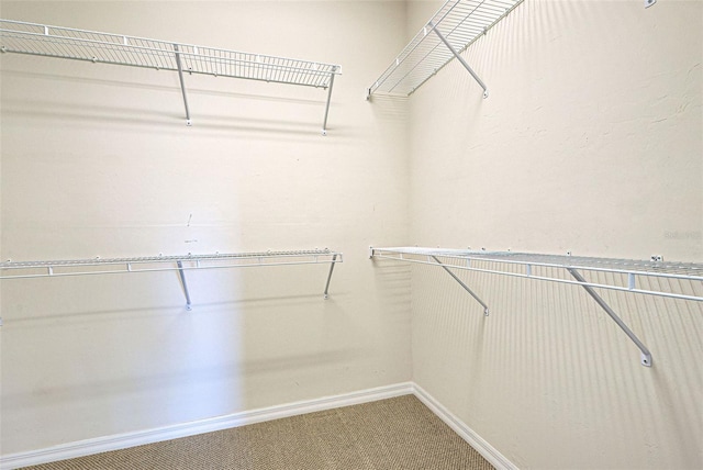 spacious closet with carpet flooring