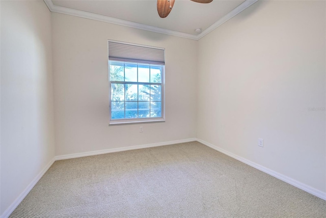 spare room featuring crown molding, ceiling fan, and carpet flooring