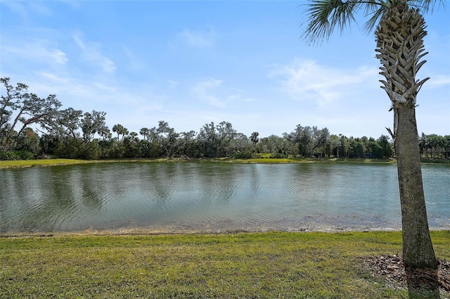 view of water feature