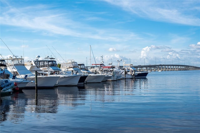 dock area with a water view