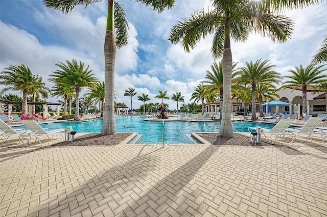 view of swimming pool with a patio area