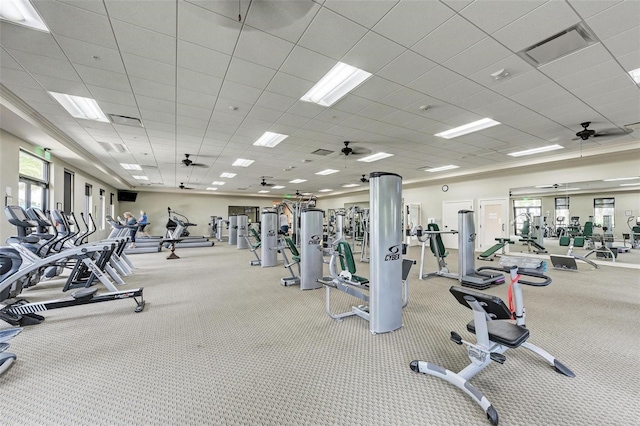 exercise room with ceiling fan and a paneled ceiling