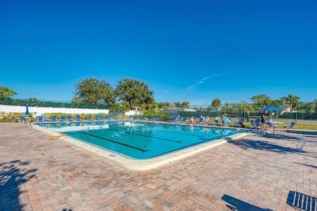 view of swimming pool with a patio