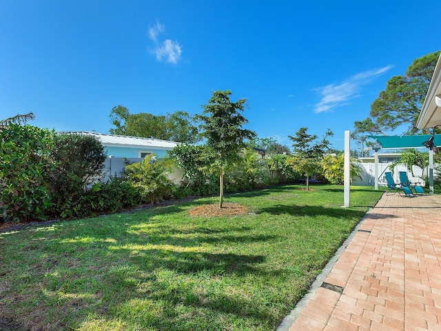 view of yard featuring a patio area