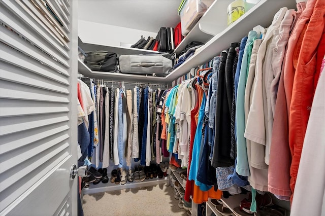 view of walk in closet