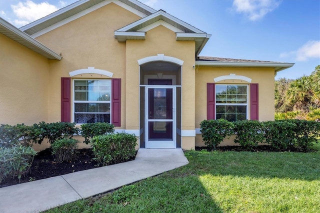 view of exterior entry with a lawn and stucco siding