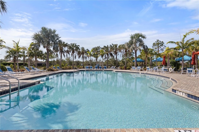 view of pool with a patio