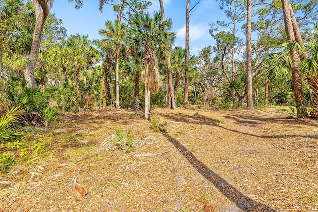 view of local wilderness