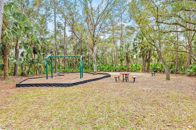 view of jungle gym