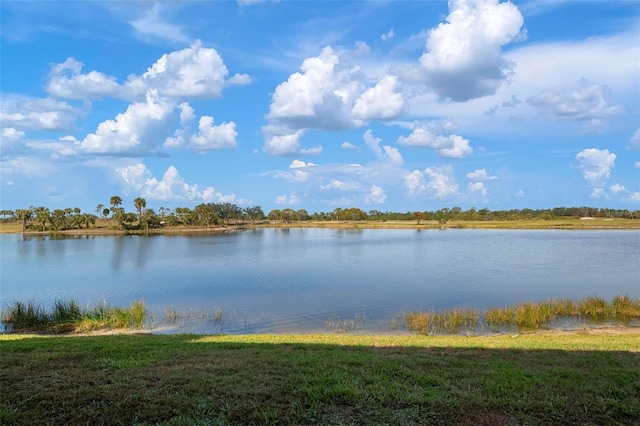 view of water feature