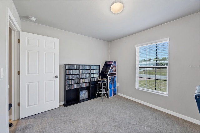 miscellaneous room with light carpet