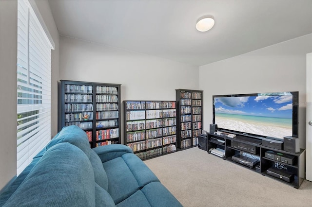 living room featuring carpet flooring