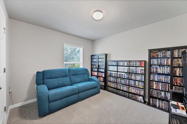 sitting room with carpet floors