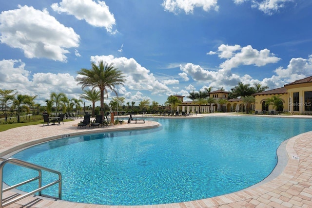 view of pool featuring a patio