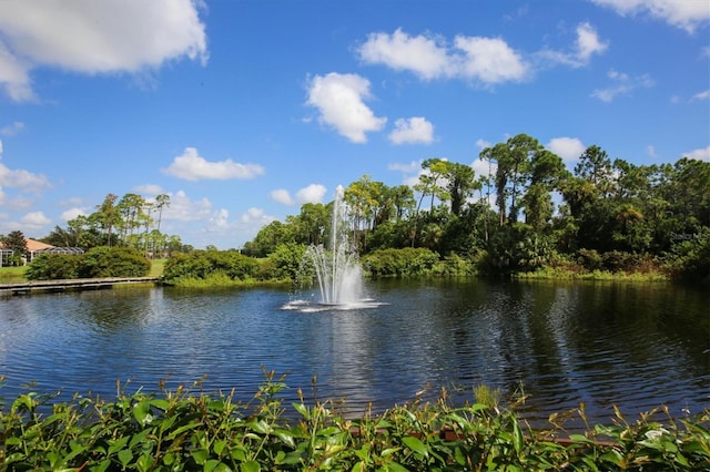 property view of water