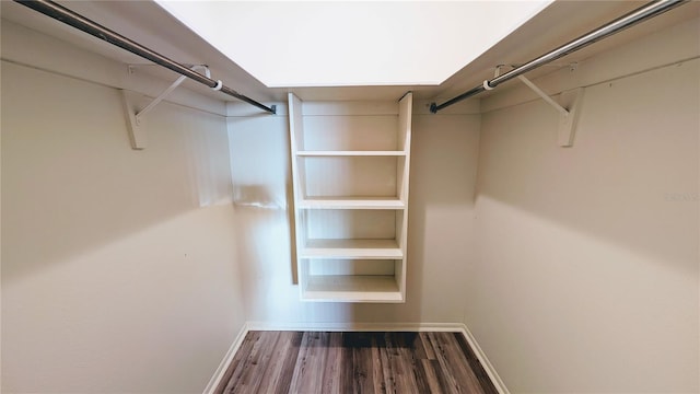 walk in closet featuring dark hardwood / wood-style flooring