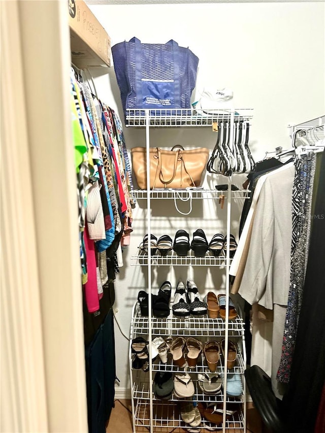 view of walk in closet