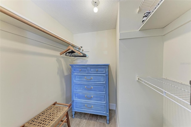 spacious closet with light hardwood / wood-style floors