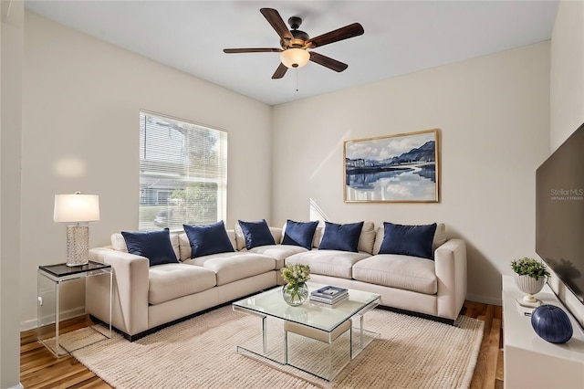 living room with ceiling fan and light wood-type flooring