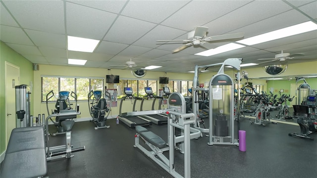 exercise room with a paneled ceiling and a ceiling fan