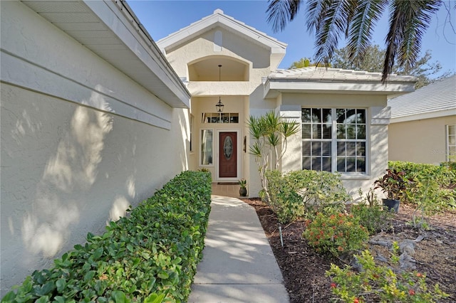 doorway to property featuring stucco siding