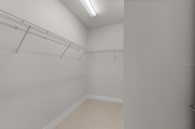 view of walk in closet