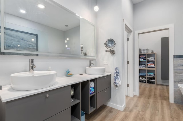 bathroom featuring double vanity, a walk in closet, a sink, and wood finished floors