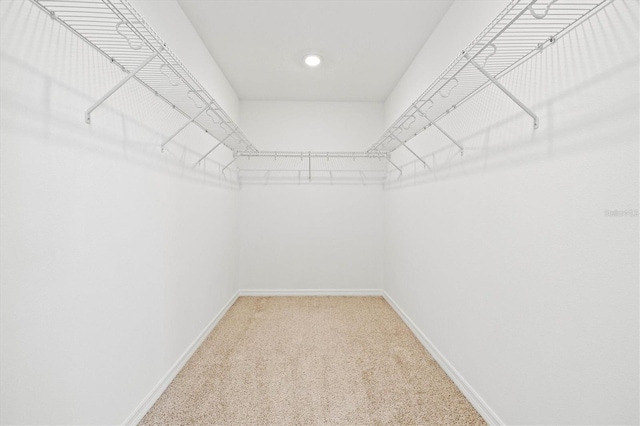 walk in closet with carpet flooring