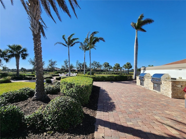 view of home's community featuring exterior kitchen and a patio area