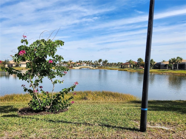 property view of water