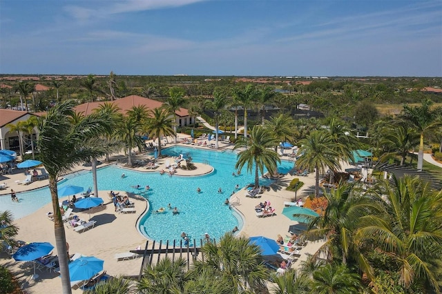 view of swimming pool featuring a patio