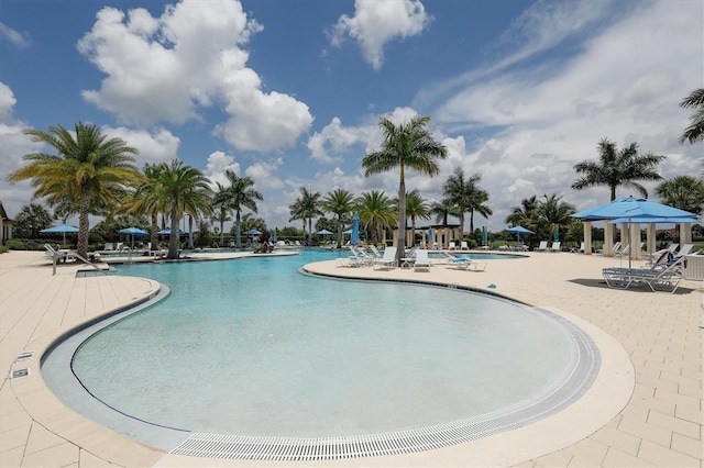 view of swimming pool with a patio area