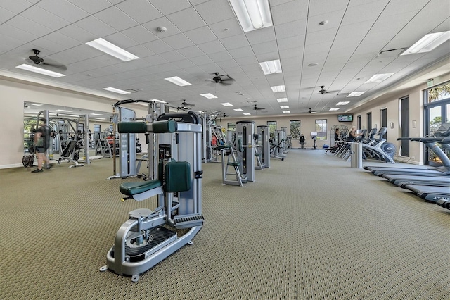 gym featuring plenty of natural light, a paneled ceiling, and carpet