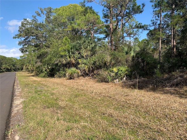 1194 Mallet Ln, Port Charlotte FL, 33953 land for sale