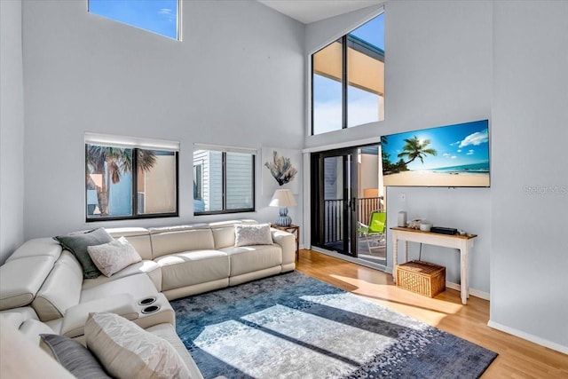 living room featuring a towering ceiling and hardwood / wood-style floors