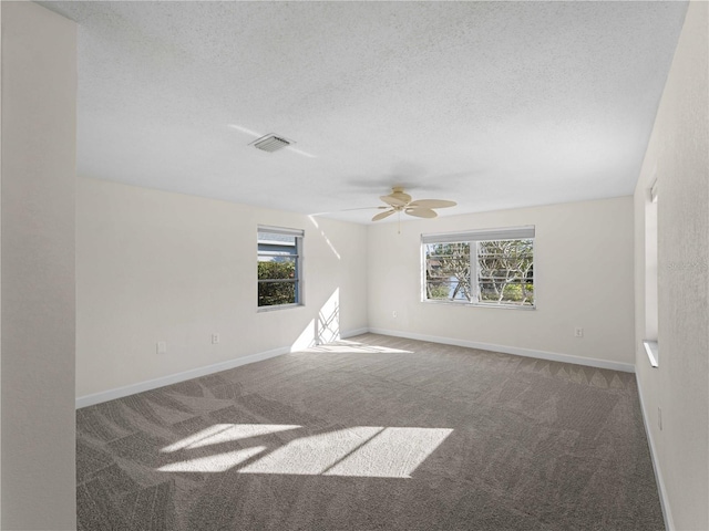 empty room with plenty of natural light, carpet, and a textured ceiling