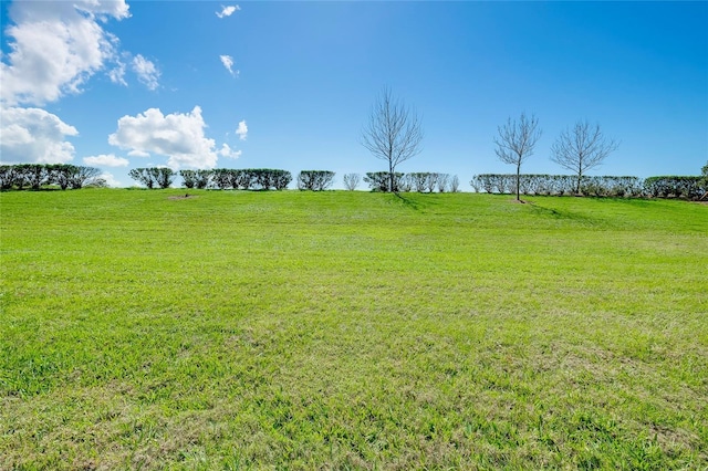 view of yard with a rural view