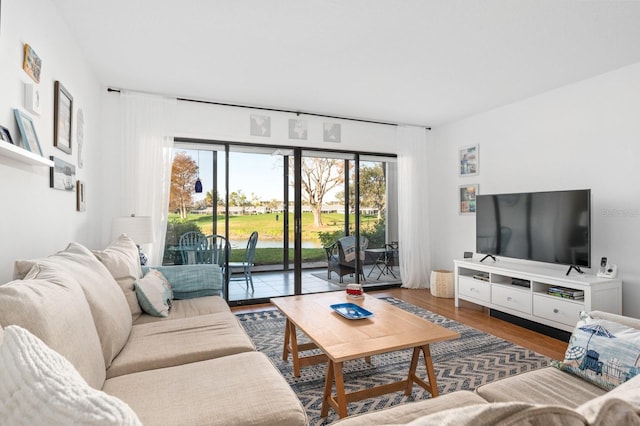 living room featuring hardwood / wood-style flooring