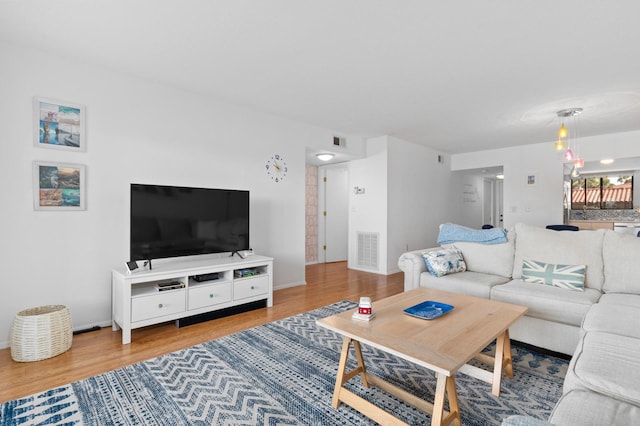 living room featuring wood-type flooring