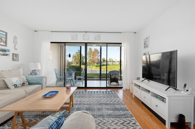 living room featuring light hardwood / wood-style flooring