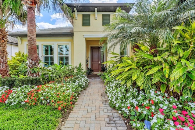 property entrance with stucco siding