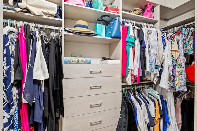 view of walk in closet