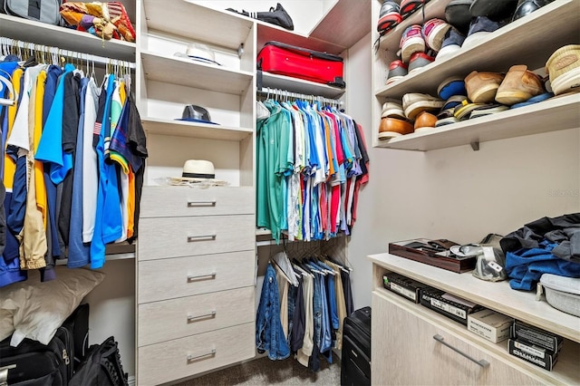 spacious closet with carpet flooring