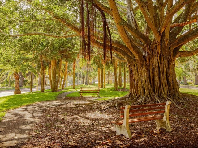 501 Tamiami Trl N Unit 502, Venice, FL 34285 - view of surrounding community